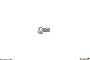 BOLT, 6MX1.00X12M