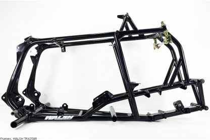 HONDA TRX250R Frame